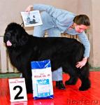 Превью фото № 4885