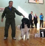 Превью фото № 48897