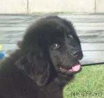 Превью фото № 48905