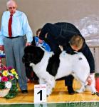 Превью фото № 4892