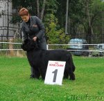 Превью фото № 48935