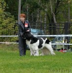 Превью фото № 48937