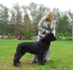 Превью фото № 49025