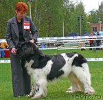 Превью фото № 49046