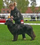 Превью фото № 49050