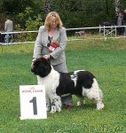 Превью фото № 49055