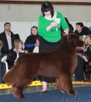 Превью фото № 49076