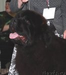 Превью фото № 49080