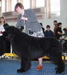 Превью фото № 49085