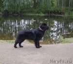 Превью фото № 49221