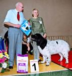 Превью фото № 4923