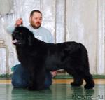 Превью фото № 4925