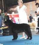 Превью фото № 49465