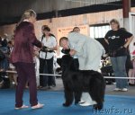 Превью фото № 49475