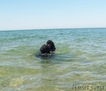 Превью фото № 49796