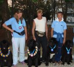 Превью фото № 49898