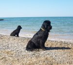 Превью фото № 49913