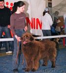 Превью фото № 4993