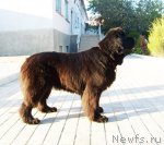 Превью фото № 50133