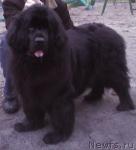 Превью фото № 5052