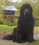 Превью фото № 50571