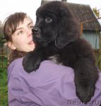 Превью фото № 50621