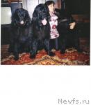 Превью фото № 5063