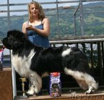 Превью фото № 50713