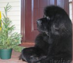 Превью фото № 50845