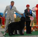 Превью фото № 50980