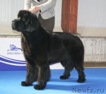 Превью фото № 51139