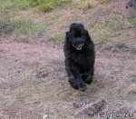 Превью фото № 51152