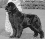 Превью фото № 5120