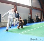 Превью фото № 51236