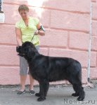 Превью фото № 51348