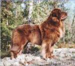 Превью фото № 514