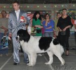 Превью фото № 51778