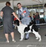 Превью фото № 51784