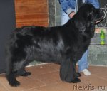 Превью фото № 51803