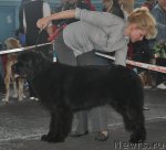 Превью фото № 51823