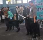 Превью фото № 51827