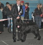 Превью фото № 51831