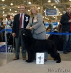 Превью фото № 51847