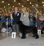 Превью фото № 51849