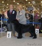 Превью фото № 51850