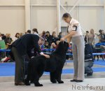 Превью фото № 51866