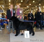 Превью фото № 51869