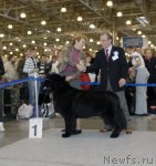 Превью фото № 51870