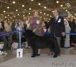 Превью фото № 51871