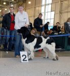 Превью фото № 51875